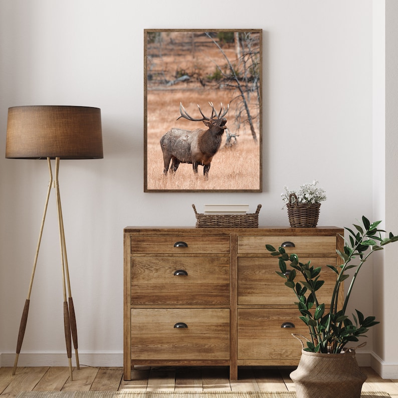 Bugling Bull Elk Wall Art, Arizona Elk Poster, Autumn Wildlife Print
