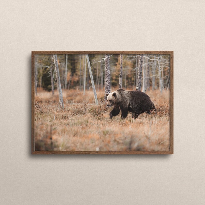 Autumn Grizzly Bear Forest, Rustic Cabin Decor, Wilderness Poster