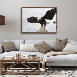 Peut inclure: Un aigle chauve avec ses ailes d&eacute;ploy&eacute;es, perch&eacute; sur un rocher contre un ciel nuageux. L'aigle a une t&ecirc;te et une queue blanches, avec des plumes brunes sur son corps.