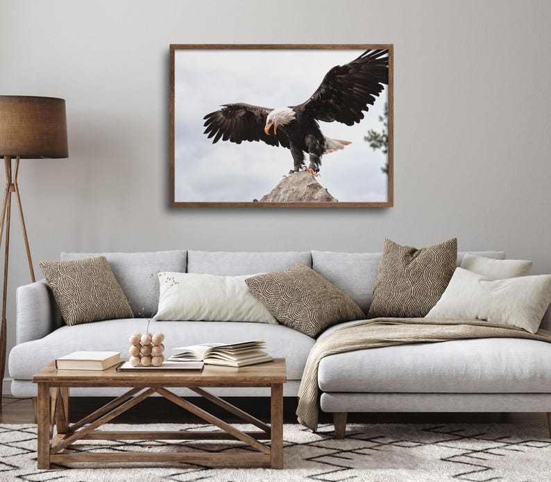 Peut inclure: Un aigle chauve avec ses ailes d&eacute;ploy&eacute;es, perch&eacute; sur un rocher contre un ciel nuageux. L'aigle a une t&ecirc;te et une queue blanches, avec des plumes brunes sur son corps.
