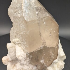 May include: A large, clear quartz crystal with a smoky brown hue, resting on a bed of white, crystallized matrix. The crystal is faceted and has a sharp point.
