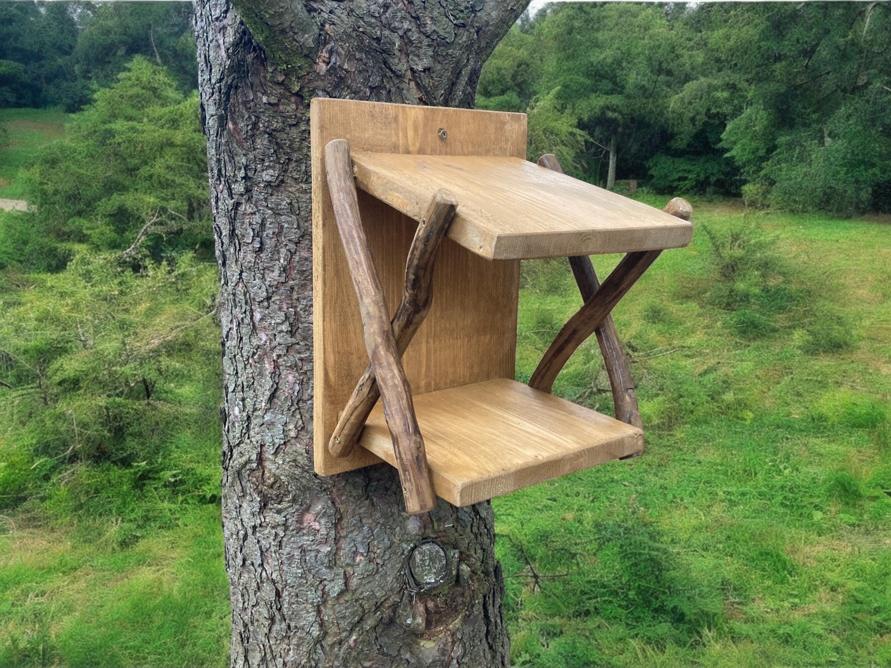 Estante para nido de pájaros: casa para pájaros para petirrojos americanos, tórtolas y zorzales orientales: caja nido de primavera para uso en exteriores: jardín rústico