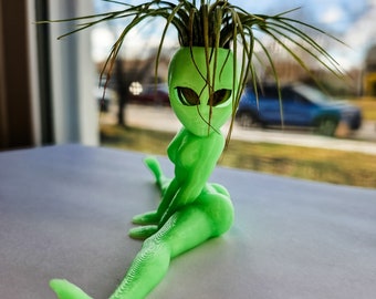 Funny Alien Air Plant Holder: Booty Cheeks Planter, Custom Color