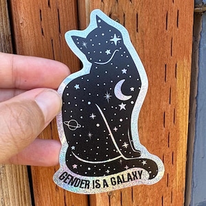 Błyszcząca naklejka z kotem niebinarnym: „Płeć to galaktyka”, LGBTQIA Pride