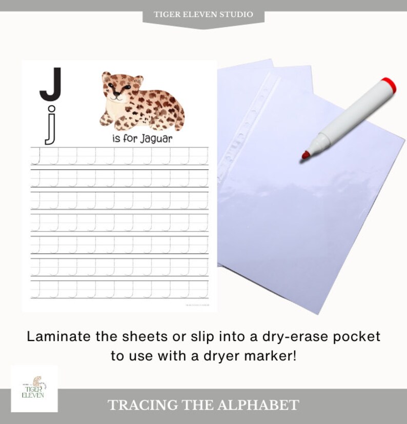 Alphabet Tracing Sheet-Handwriting Sheet-Preschool Kindergarten ABC Letter Printable Uppercase Lowercase Letter Animals Practice Homeschool image 5