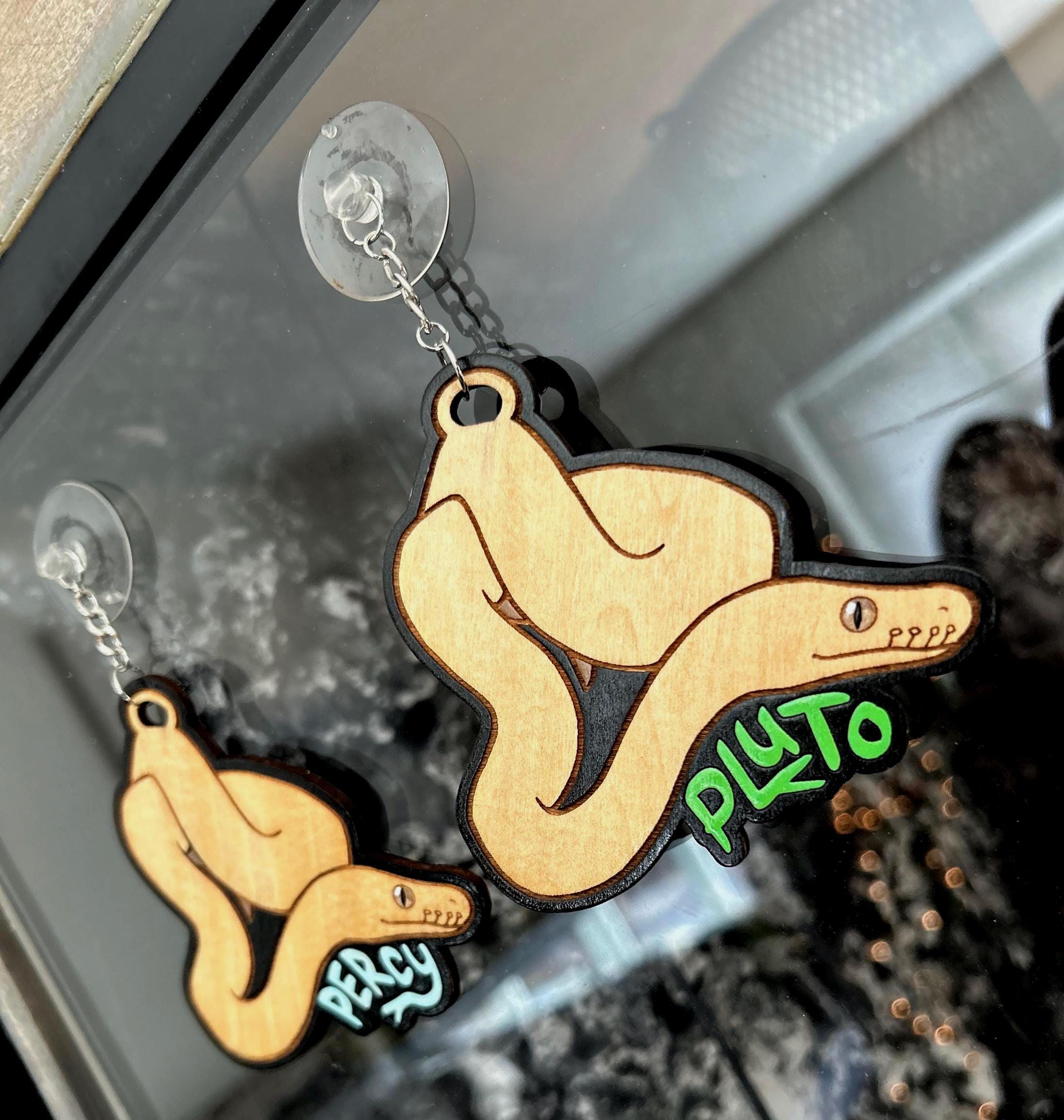 Custom Ball Python Enclosure Name Tag, Snake Name Tag, Enclosure Tag ...