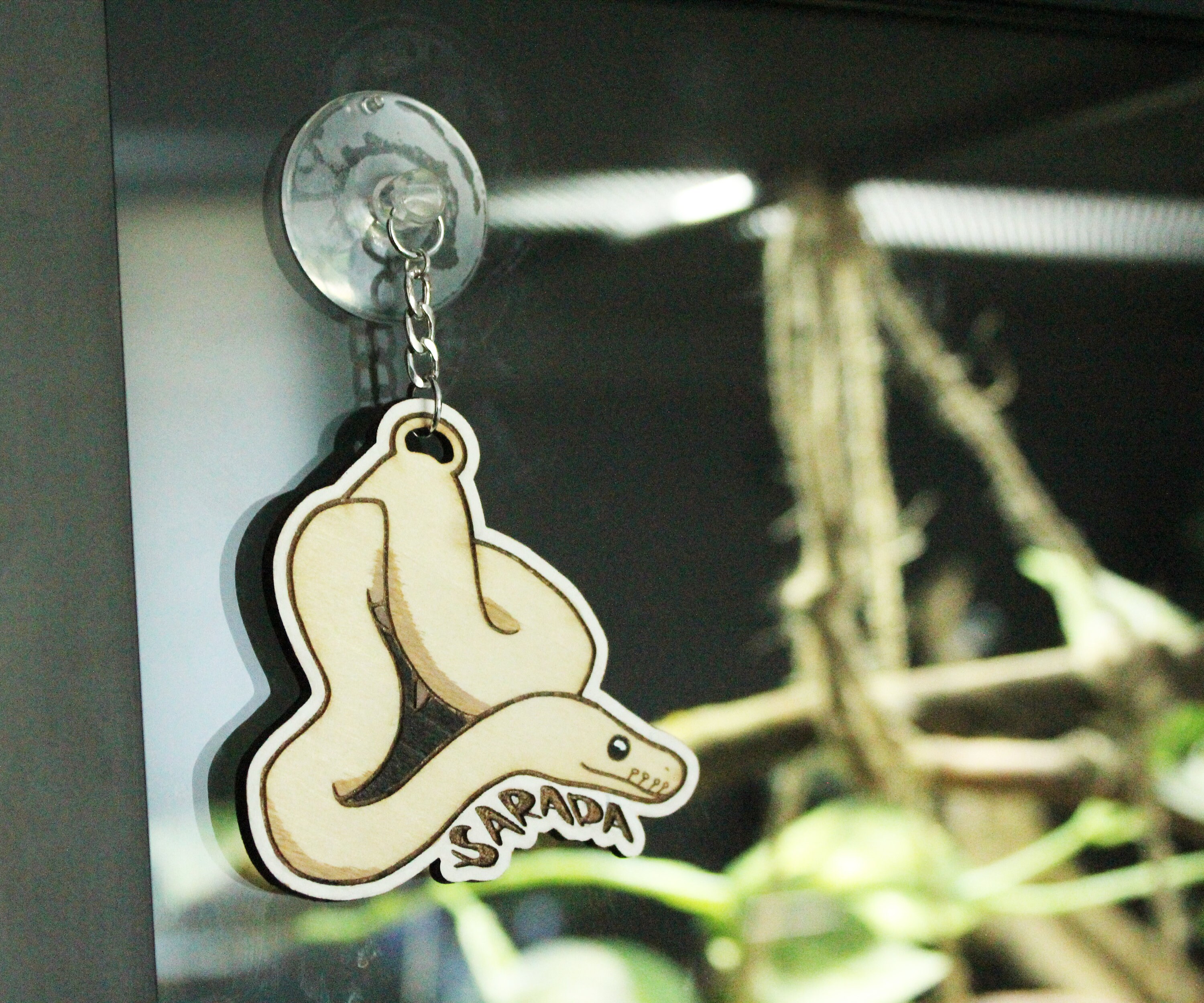 Custom ball python enclosure name tag snake name tag enclosure tag