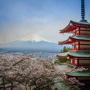 Mt Fuji Japan, Chureito Pagoda, Shrine, Cherry Blossoms Bloom, Wall Art, Home Decor, Photo Prints, Canvas Print, Metal and Acrylic Print