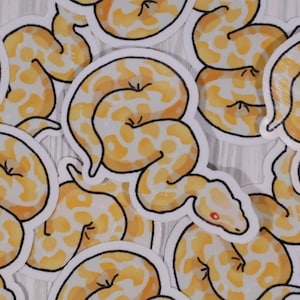Albino Ball Python Sticker