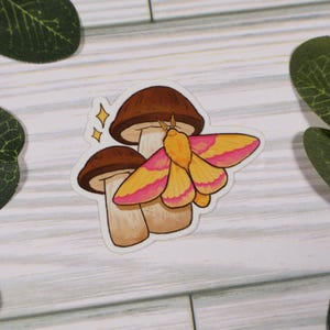 Rosy Maple Moth and Mushroom Aufkleber