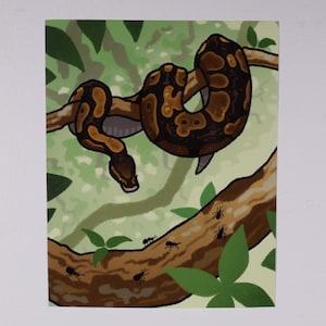 Ball Python in Trees | 8" x 10" Art Print