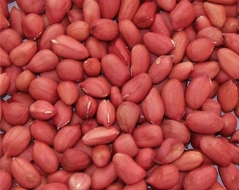 2024 USA Jumbo Peanut Seeds 50+ for Planting, Non-GMO Heirloom, Fast Shipping