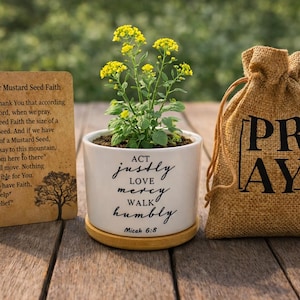 May include: A small potted plant with yellow flowers, a burlap bag with "PRAY" printed on it, and a card with text about faith. The plant pot has the words "Act Justly, Love Mercy, Walk Humbly" on it.