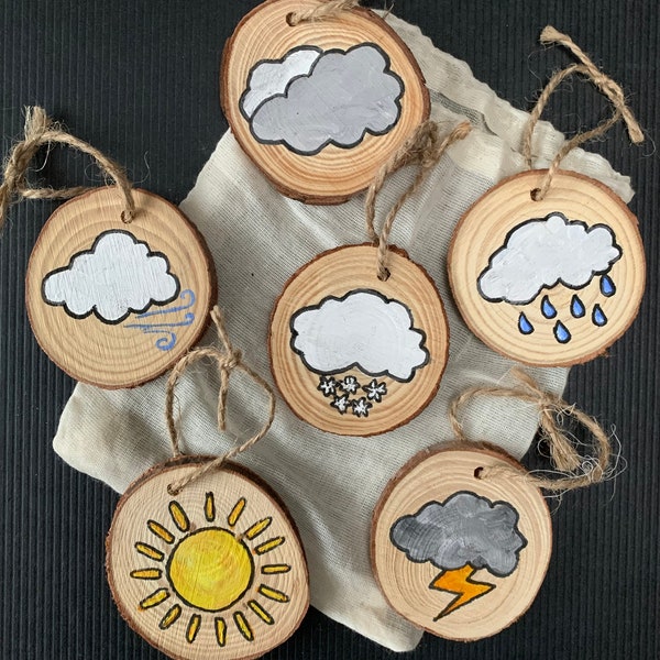 Early Years Natural Weather discs