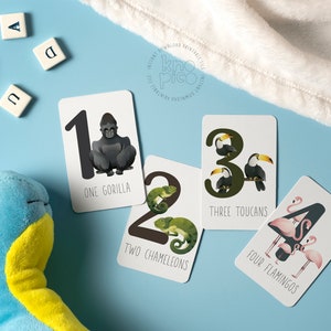 May include: A set of four flashcards featuring colorful illustrations of animals and numbers. The cards are white with black text and show one gorilla, two chameleons, three toucans, and four flamingos.