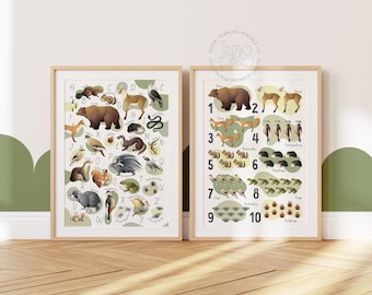 Woodland Alphabet Poster and Kids Counting Numbers Print with Forest Animals | Educational Toddler Nursery Playroom Poster Set of Two Prints