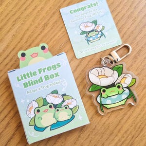 Frog Mystery Gacha Charm Blind Box | Acrylic Keychain