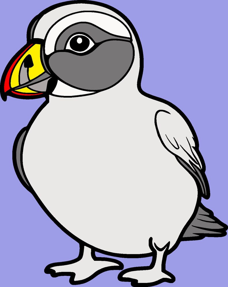 Tropical Easy Coloring Book Page Clipart for Kids 32 PNG Digital