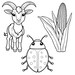 Farm Coloring Book Pages for Kids 32 Printable PNG Digital Downloads ...
