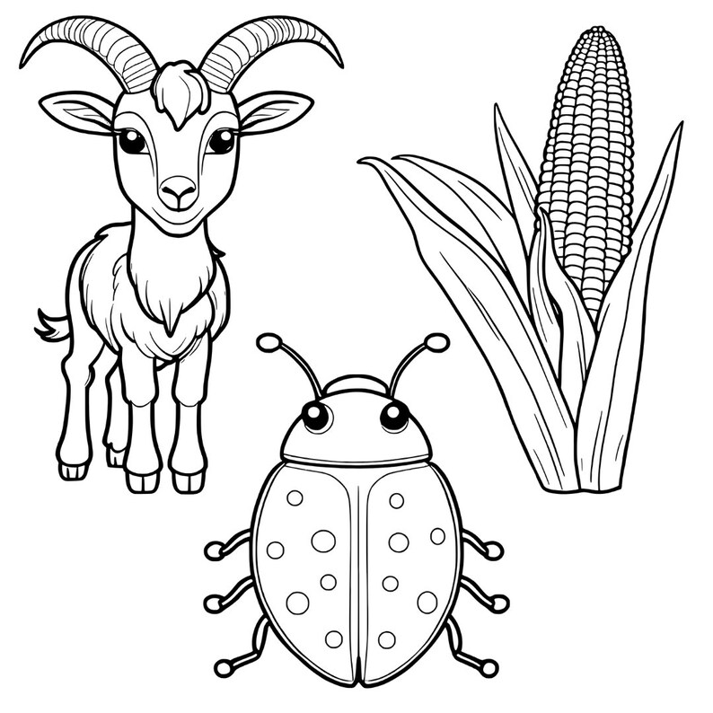 Farm Coloring Book Pages for Kids 32 Printable PNG Digital Downloads ...