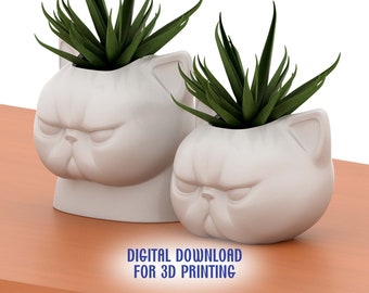 STL File Cute Grumpy Flat faced Cat Plant Pot | Vase | Decor | Centerpiece | Flower Pot | Cute Vase | Instant Download | 3D Print