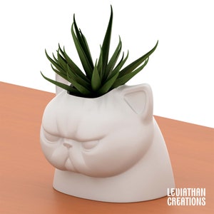 May include: White ceramic planter shaped like a grumpy cat's face with a green succulent plant inside. The planter is on a wooden surface.  LEVIATHAN CREATIONS is printed on the surface.