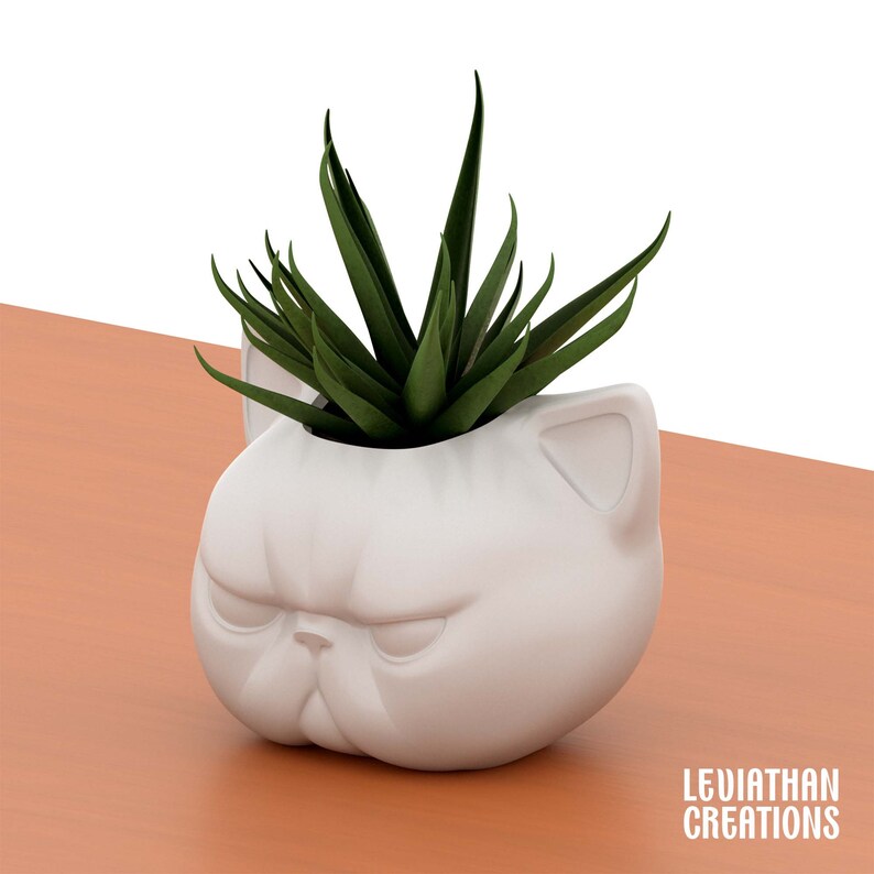 May include: White ceramic planter shaped like a cat's face with a green succulent plant inside.