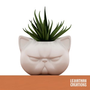 May include: A white ceramic planter shaped like a cat's face with a green succulent plant inside. The planter has a grumpy expression with furrowed brows and a small nose.