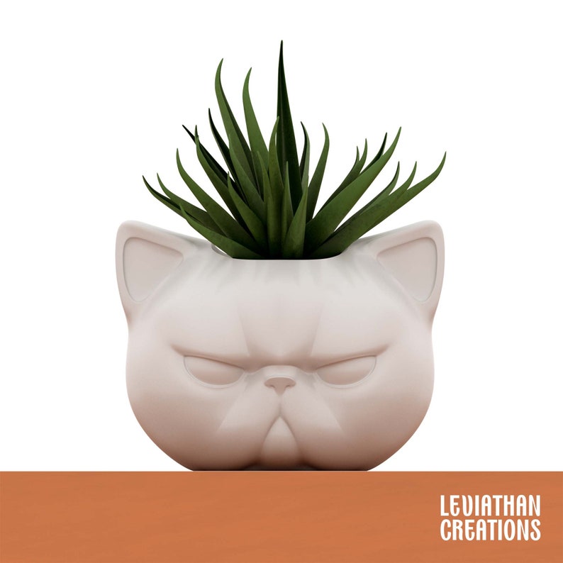 May include: A white ceramic planter shaped like a cat's face with a green succulent plant inside. The planter has a grumpy expression with furrowed brows and a small nose.