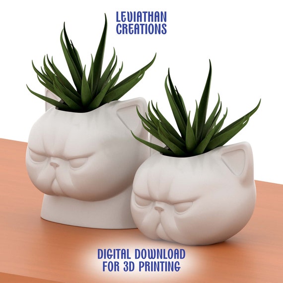 Grumpy Cat Plant Pot STL File: 3D Print Vase Decor (Digital Download)