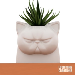May include: A white ceramic planter shaped like a cat's face with a green succulent plant growing inside. The cat has a grumpy expression with furrowed brows and a small nose.