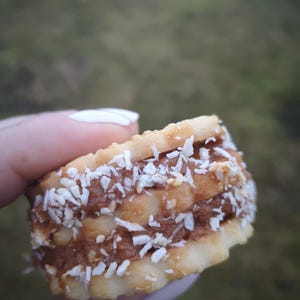 May include: A close-up of a biscuit sandwich with a chocolate filling and a layer of shredded coconut on top.