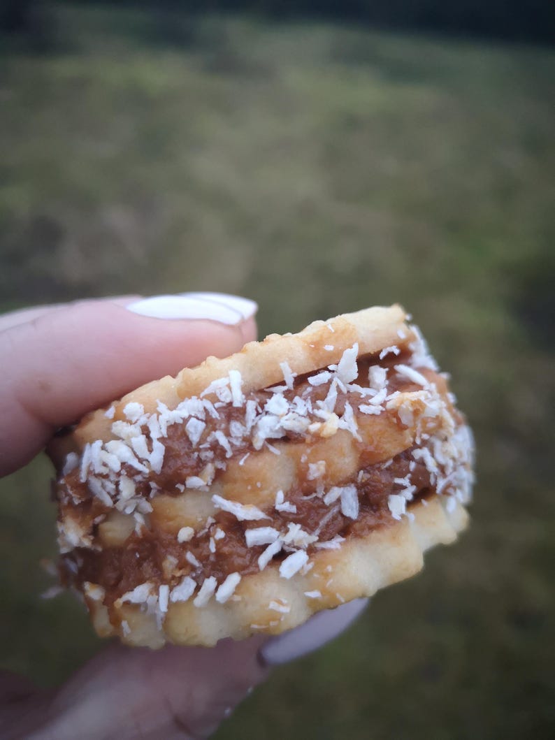 May include: A close-up of a biscuit sandwich with a chocolate filling and a layer of shredded coconut on top.