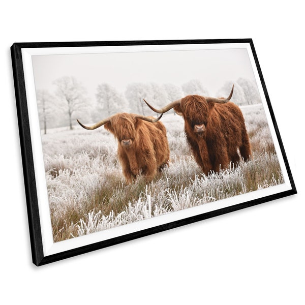 Highland Cow Animal Wildlife Wall Art Photo Print