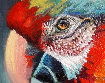 オリジナルの油絵。オウム。明るい色の鳥。6 x 6 インチ - Etsy 日本