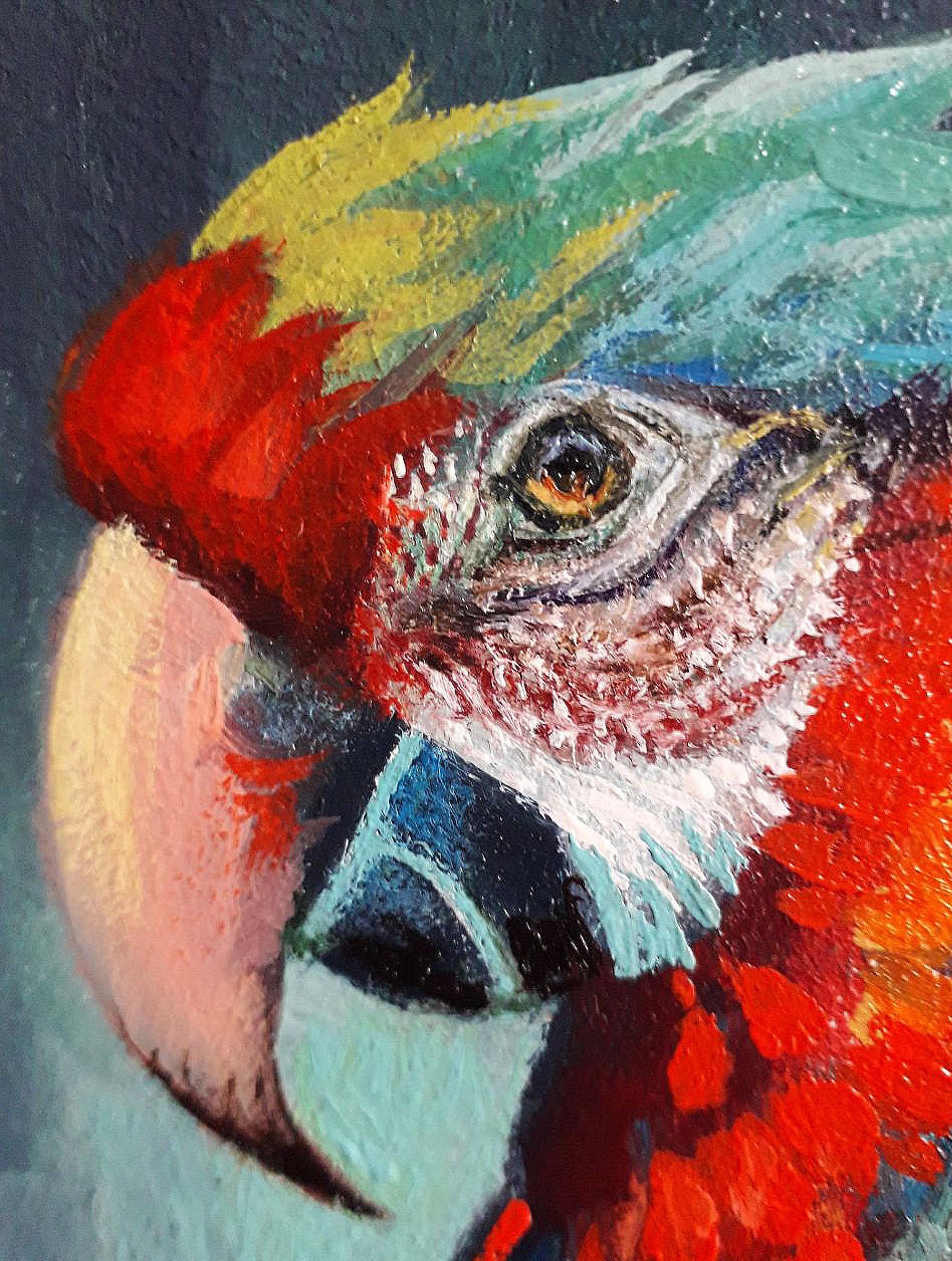 オリジナルの油絵。オウム。明るい色の鳥。6 x 6 インチ - Etsy 日本