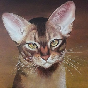 Peinture originale. Peinture à l'huile. Portrait d'un animal. Cat. Chat abyssin triste. Décoration d'intérieur