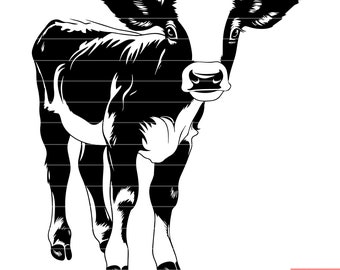 May include: Black and white silhouette of a calf standing with its head turned to the side. The calf has a white patch on its forehead and a white stripe down its back.