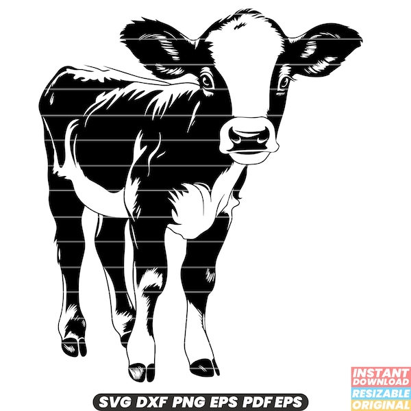 Calf Young Animal Mammal Farm Livestock Cattle Baby Cow Agriculture SVG DXF PNG Cut File Digital Instant Download