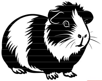 Guinea Pig Rodent Pet Cavy Small Mammal Fluffy Fur Domesticated Animal SVG DXF PNG Cut File Digital Instant Download