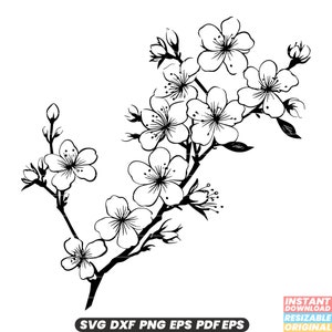 Kirsche Blühende Frühlingsblüte Blühender Baum Natur Saisonal Sakura Hanami Japan Blumenblätter Rosa Weiß Schönheit SVG DXF PNG Schnittdatei