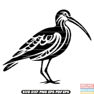 Snipe Bird Wader Shorebird Habitat Vida Selvagem Natureza Pantanal SVG DXF Arquivo de corte PNG Download instantâneo digital