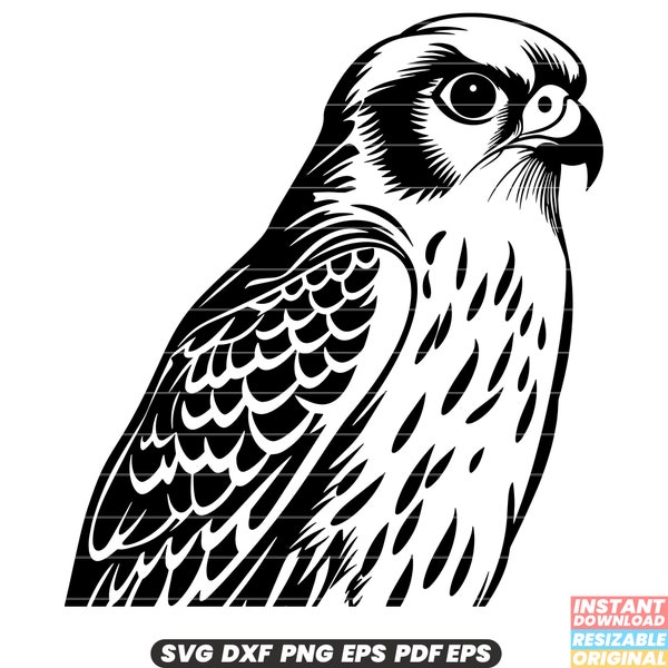 Kestrel Birds Raptors Wildlife Falconry Predators Hunting Feathers Avian Falcon Birds of Prey SVG DXF PNG Cut File Digital Instant Download