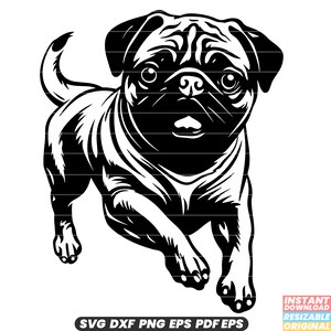 Mops Hunderasse Haustier Haustier niedlich entzückende Rehkitz Falten Schnauze freundlich Begleiter SVG DXF PNG Schnittdatei