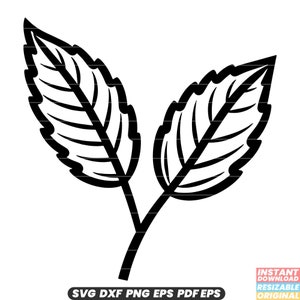 Menta SVG Erba Foglia Pianta Aromatico Sapore culinario Ingrediente fresco Giardino DXF PNG File di taglio n. 3