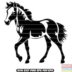 Poulain cheval poulain jeune animal étalon équin jument Mustang ranch faune Nature fichier coupe PNG DXF SVG