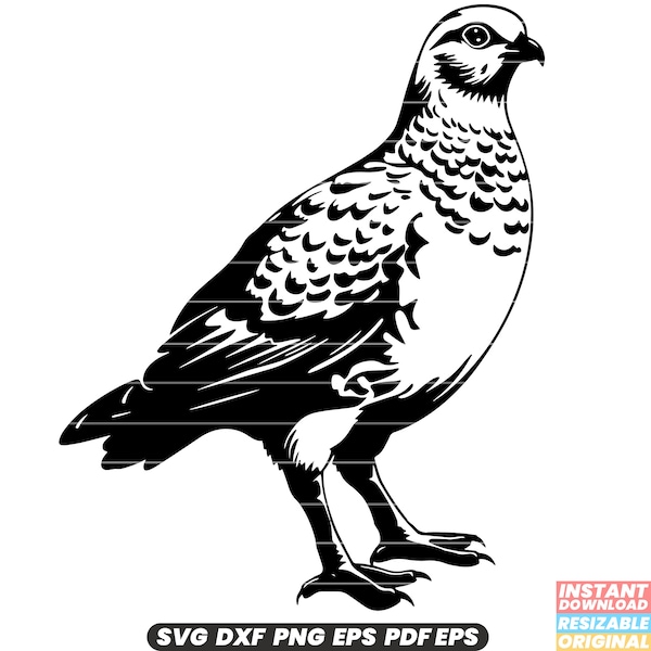 Ptarmigan Bird Game Bird Arctic Wildlife Feathered Nature SVG DXF PNG Cut File Digital Instant Download