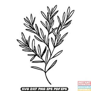 Rosmarino Erba aromatica Spezia Ingrediente di cucina Aroma culinario Cucina mediterranea Giardino di erbe aromatiche biologiche SVG DXF PNG File di taglio