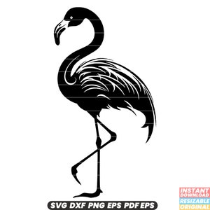 Flamant rose oiseau faune exotique tropicale animal à plumes conservation de la nature SVG DXF PNG coupe fichier téléchargement immédiat