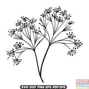 Aneto Fiore SVG Erba Pianta Spezie Aromatico Culinario Verde Giardino Ingrediente Fresco DXF PNG File di taglio